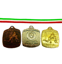 مدال ورزشی کد 340